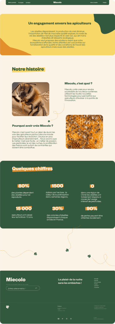 design du site réalisé